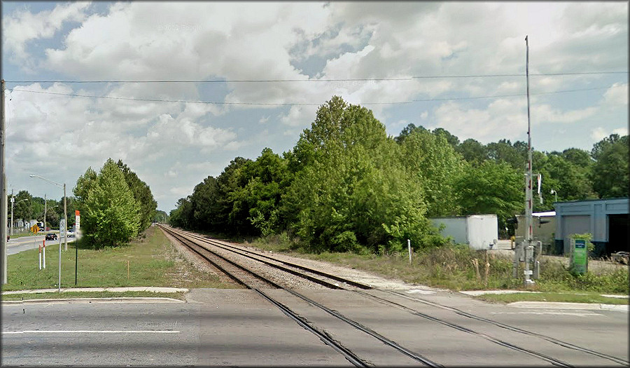 Bulimulus sporadicus (d’Orbigny, 1835) Habitat At The Lane Avenue CSX Railroad Crossing