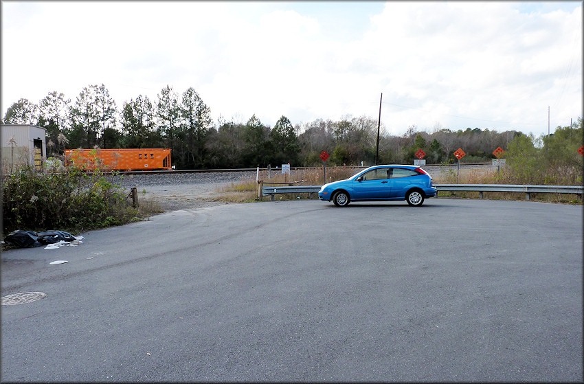 Bulimulus sporadicus (d’Orbigny, 1835) At The Old Kings Road Railroad Facility (12/28/2014)