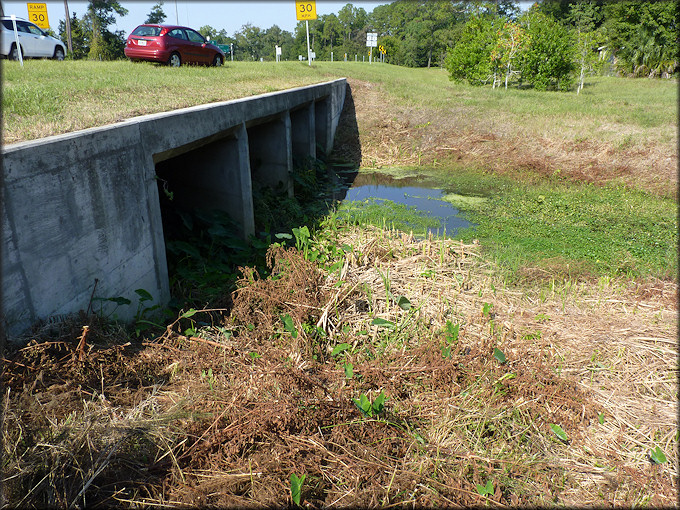 Drainage ditch looking west northwest towards Philips Highway