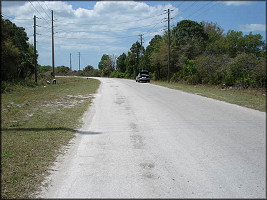 Old Dixie Highway where the Daedalochila uvulifera striata were found