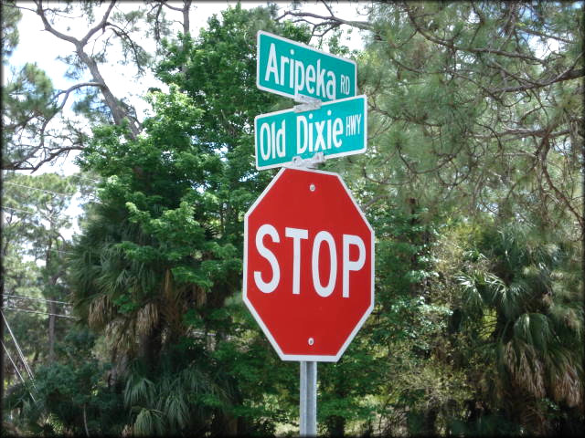 Old Dixie Highway Where The Daedalochila uvulifera striata Were Found