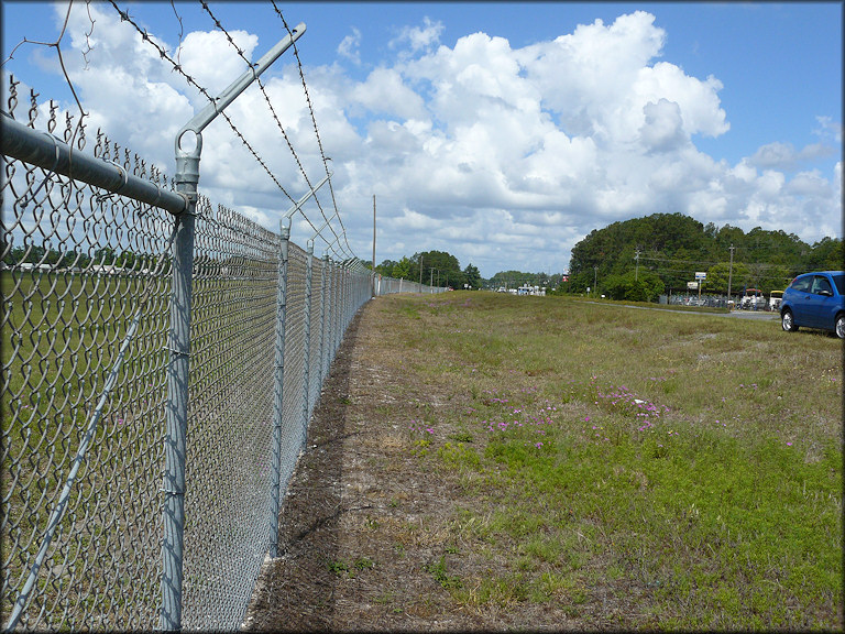 Location Along The Airport Fence Where Harry Found Daedalochila uvulifera