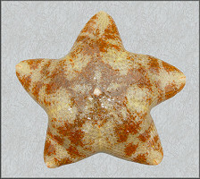 Pteraster tesselatus Ives, 1888 Slime Star 