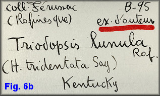 Triodopsis data label