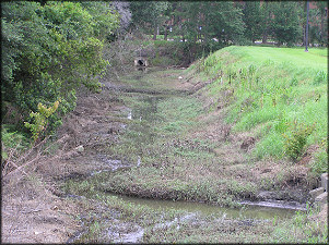 Drainage Ditch Looking "downstream" 