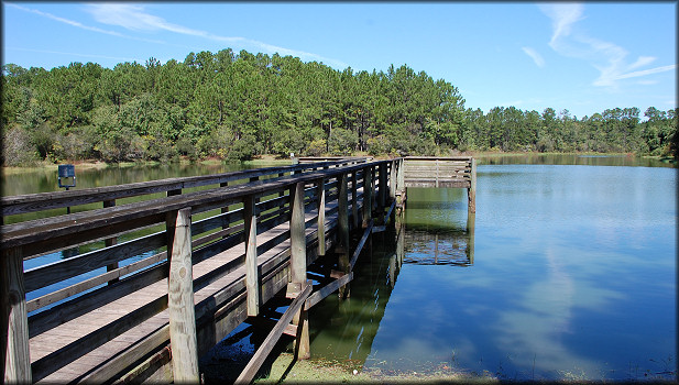 Partial view of the lake and fishing pier where the egg clutches were found