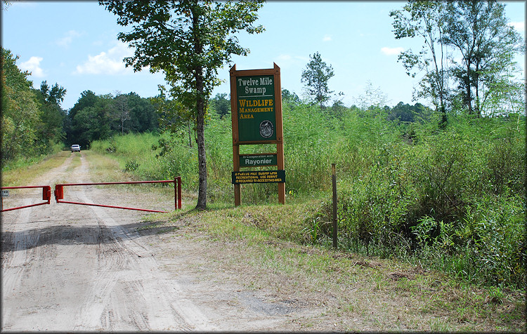 Entrance to the wildlife management area where the Daedalochila were found (9/18/2009)