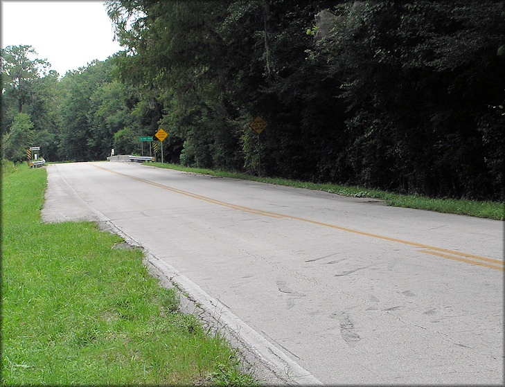 Southeast bridge approach (image, right) where the Daedalochila were found (7/29/2008)