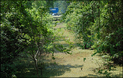 Ditch/creek looking south towards Interstate 10