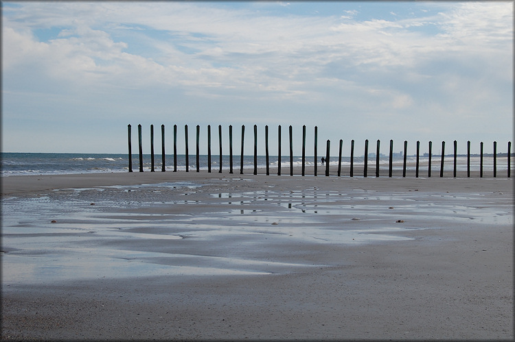 Intertidal Poles At Mayport Naval Station (Atlantic Ocean)