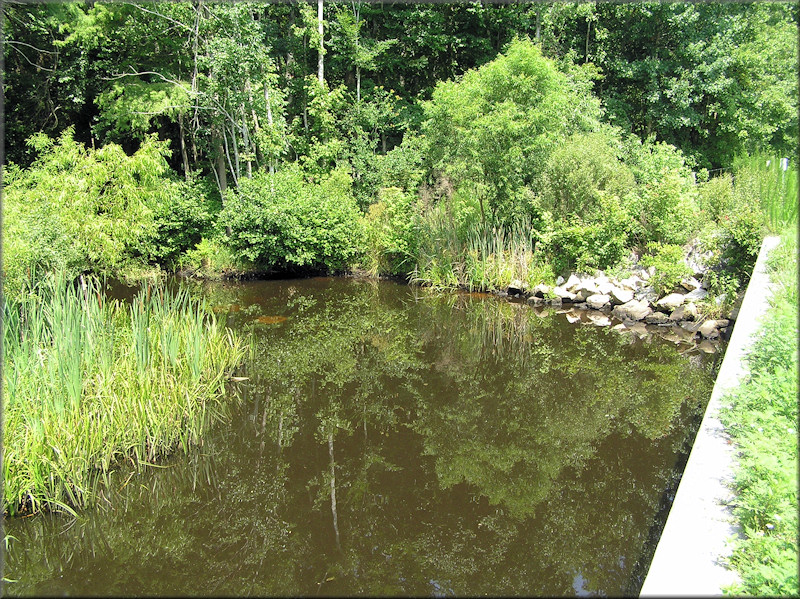 Big Davis Creek At Interstate-95