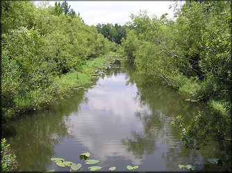 Interconnected ditch looking north