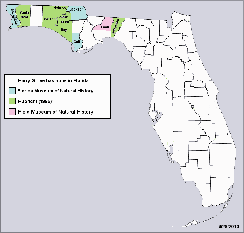 Daedalochila auriformis (Bland, 1859) Rockpile Liptooth Records For Florida