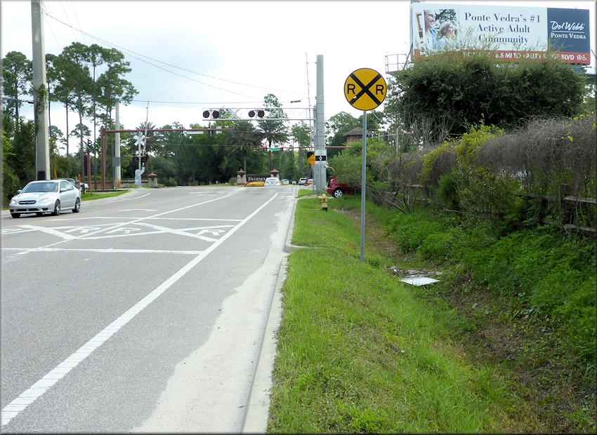 Bulimulus sporadicus At International Golf Parkway Near US-1, St. Johns County, Florida (8/23/2015)