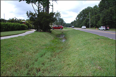 Touchton Rd. swale looking west toward Belfort Rd.