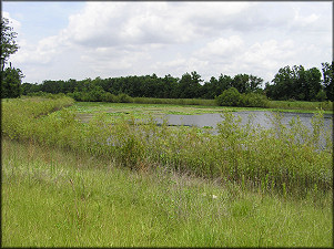 Lake | Retention Pond