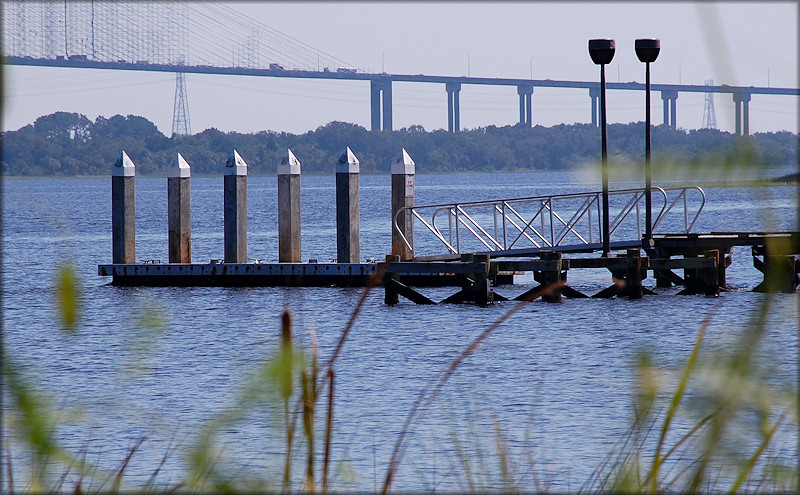 Lonnie Wurn Park Floating Dock (9/6/2008)