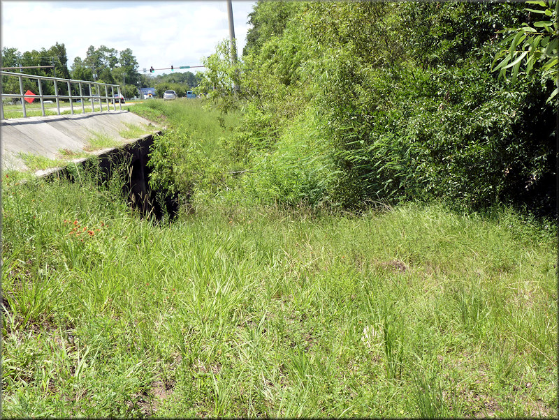 Northeastern Approach To Moultrie Creek On State Road 207 Looking West - 8/4/2010.