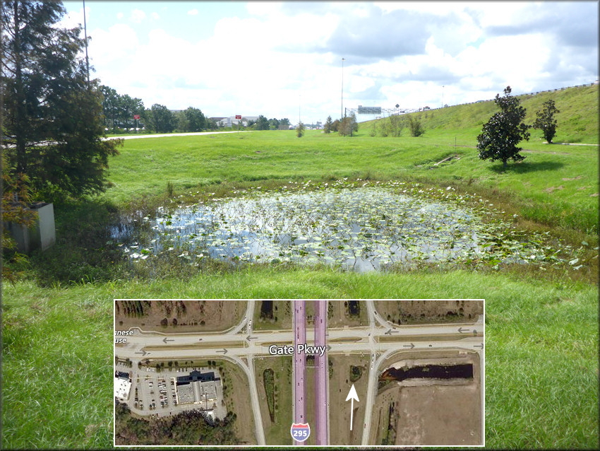 View of the retention pond just east east of I-295 looking south