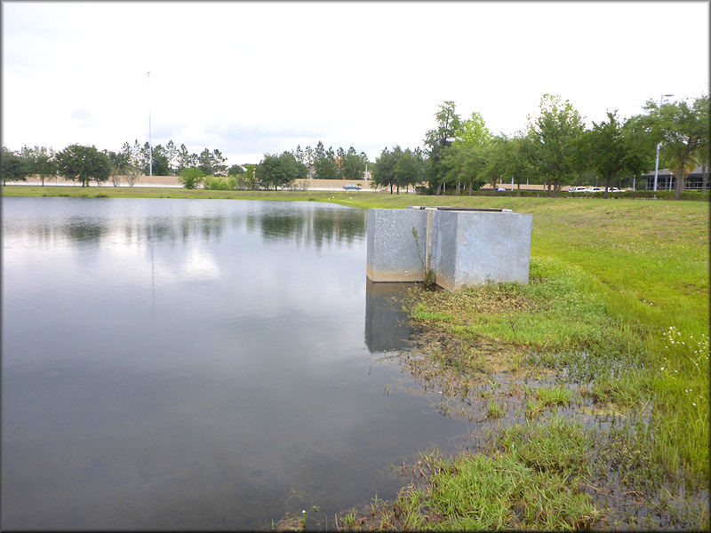 Retention pond with breeding Pomacea paludosa population