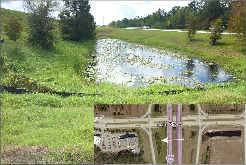 View of the second retention pond just west of I-295 looking south