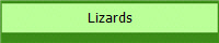 Lizards