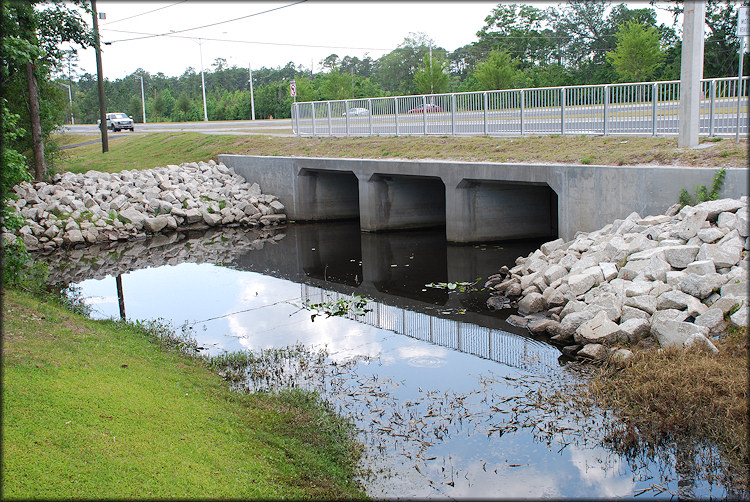 Ditch immediately adjacent to Kernan Boulevard (5/2/2009)