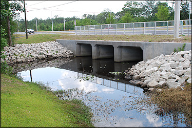 Ditch immediately adjacent to Kernan Boulevard (5/2/2009)