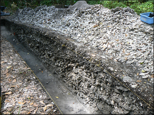 The Trench Viewed Outward From Its Nadir