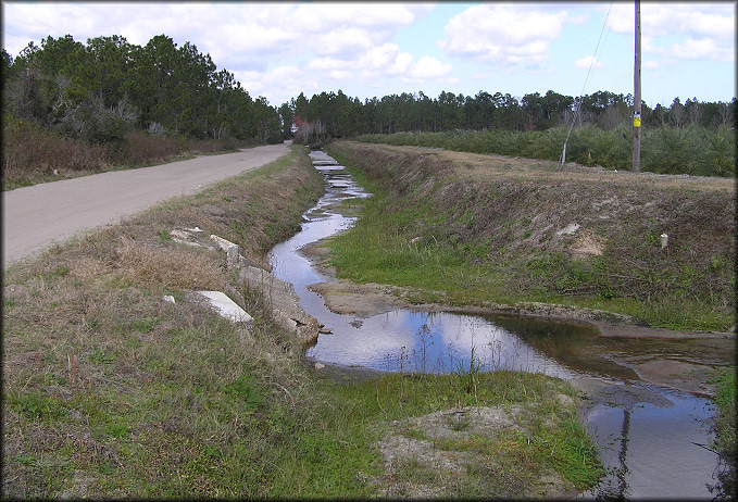 Drainage ditch during dry weather | Photographed by Joel Wooster on 1/27/2006