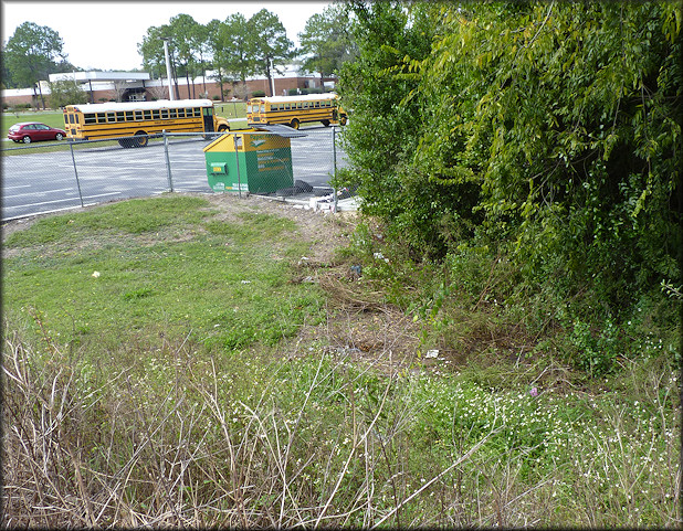 The Daedalochila habitat, foreground on the right, looking towards the school from Old Middleburg Road (10/30/2011)