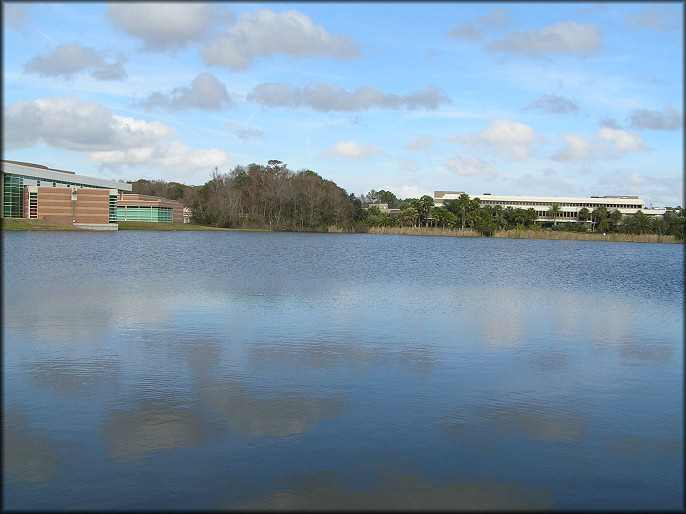 Southern End Of The Lake Looking North