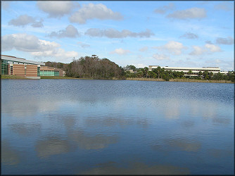 Southern End Of The Lake Looking North