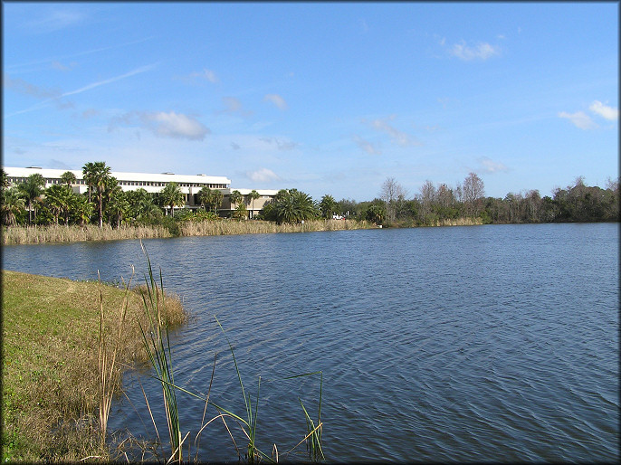 Southwestern End Of The Lake Looking Northeast