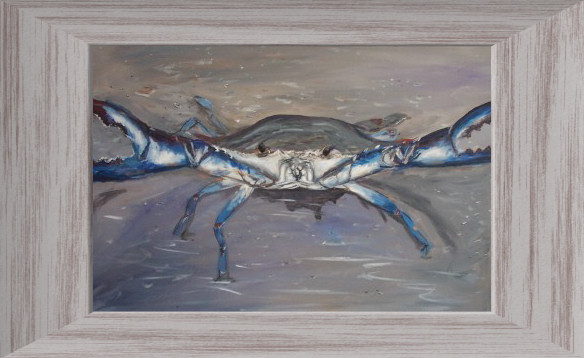 Callinectes sapidus Blue Crab Defensive Posture