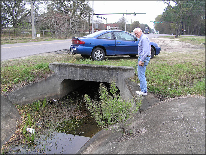 Drainage ditch looking north along Imeson Road toward Pritchard Road