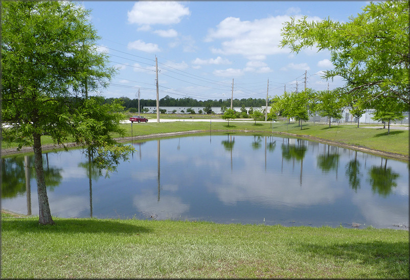 Westernmost of the two retention ponds looking west towards Imeson Road