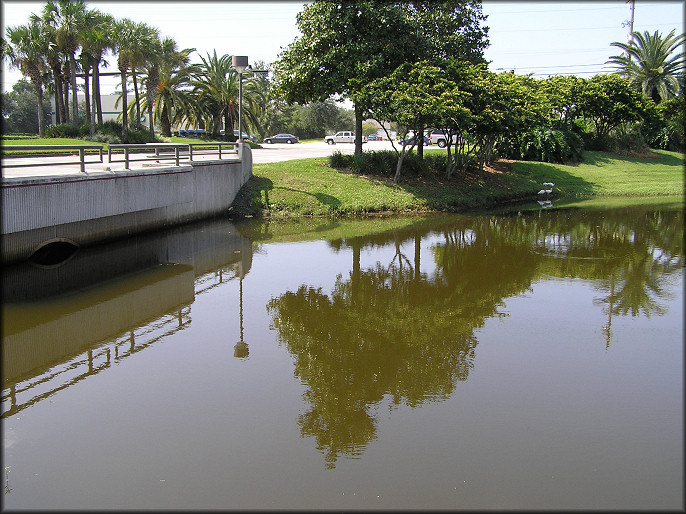 Lake At Cypress Plaza - Looking Towards Philips Highway