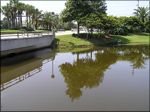 Lake At Cypress Plaza - Looking Towards Phillips Highway