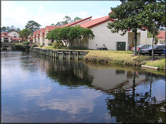 Area of the lake where the mollusks were found