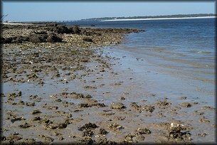 Nassau Sound at Big Talbot Island