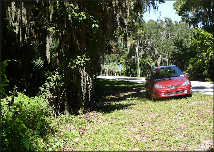 Daedalochila habitat looking north along County Road 13 towards County Road 208