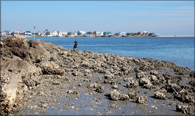 South Side Of St. Augustine Inlet/Tolomato River (2/8/2008)