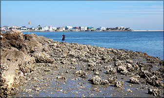 South Side Of St. Augustine Inlet/Tolomato River (2/8/2008)