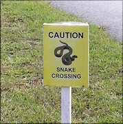 Little Talbot Island Snake Crossing Sign (11/13/2005)