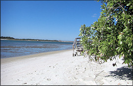 Looking North Up The Matanzas River From Near The Inlet 1/10/2009