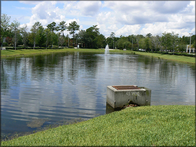 Retention pond looking west