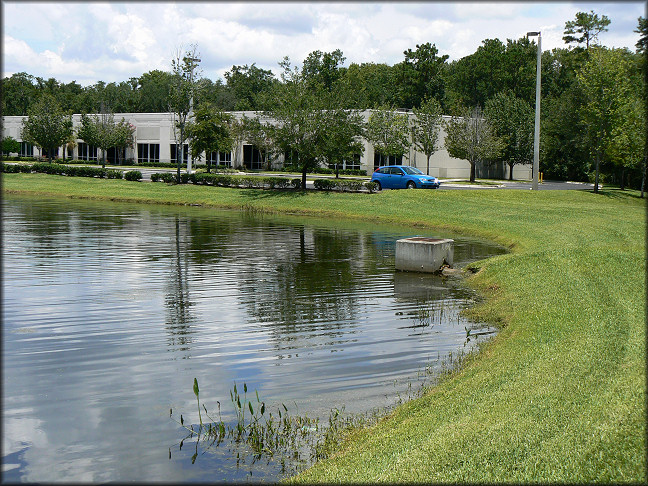 Retention pond looking north