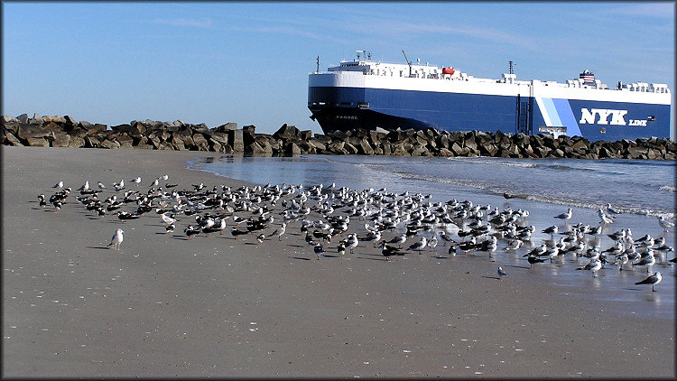 South St. Johns River Jetty at Mayport Naval Station (12/21/2004)