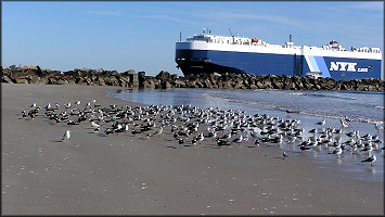 South St. Johns River Jetty at Mayport Naval Station (12/21/2004)